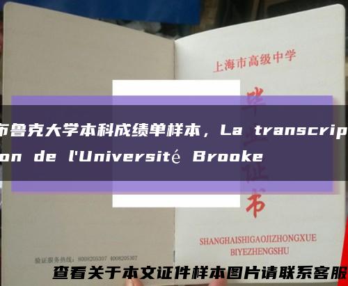 布鲁克大学本科成绩单样本，La transcription de l'Université Brooke缩略图