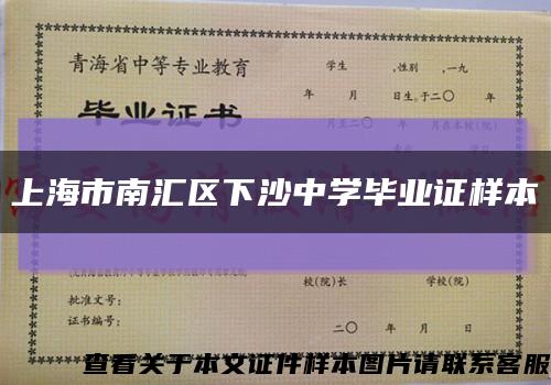 上海市南汇区下沙中学毕业证样本缩略图