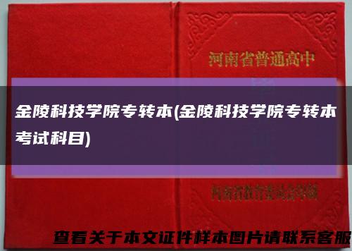 金陵科技学院专转本(金陵科技学院专转本考试科目)缩略图