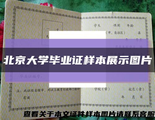 北京大学毕业证样本展示图片缩略图
