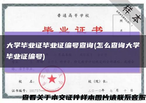 大学毕业证毕业证编号查询(怎么查询大学毕业证编号)缩略图