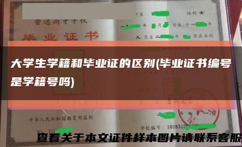 大学生学籍和毕业证的区别(毕业证书编号是学籍号吗)缩略图