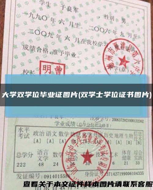 大学双学位毕业证图片(双学士学位证书图片)缩略图