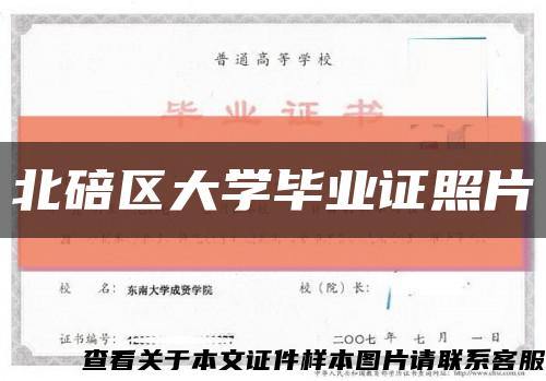 北碚区大学毕业证照片缩略图