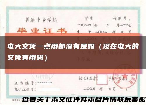 电大文凭一点用都没有是吗（现在电大的文凭有用吗）缩略图