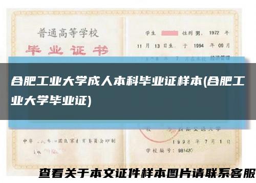 合肥工业大学成人本科毕业证样本(合肥工业大学毕业证)缩略图