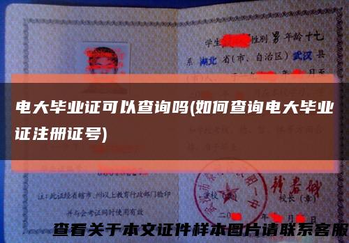 电大毕业证可以查询吗(如何查询电大毕业证注册证号)缩略图