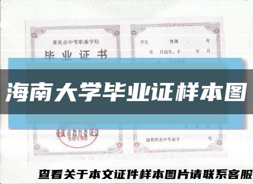 海南大学毕业证样本图缩略图
