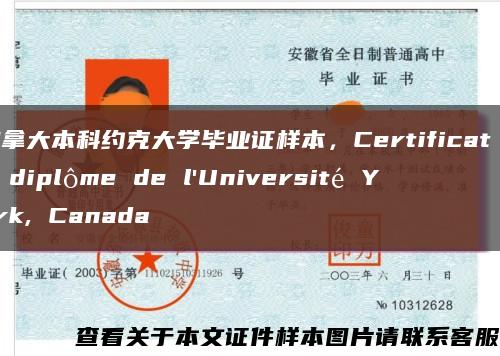 加拿大本科约克大学毕业证样本，Certificat de diplôme de l'Université York, Canada缩略图