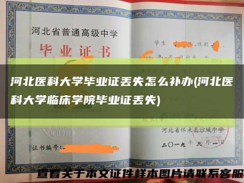 河北医科大学毕业证丢失怎么补办(河北医科大学临床学院毕业证丢失)缩略图