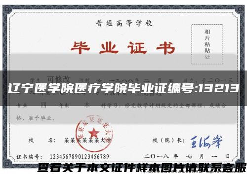 辽宁医学院医疗学院毕业证编号:13213缩略图