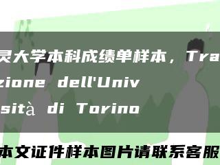 都灵大学本科成绩单样本，Trascrizione dell'Università di Torino缩略图