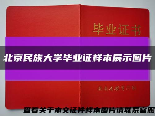 北京民族大学毕业证样本展示图片缩略图