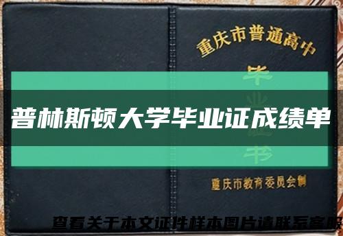 普林斯顿大学毕业证成绩单缩略图