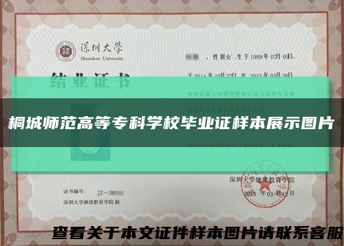 桐城师范高等专科学校毕业证样本展示图片缩略图