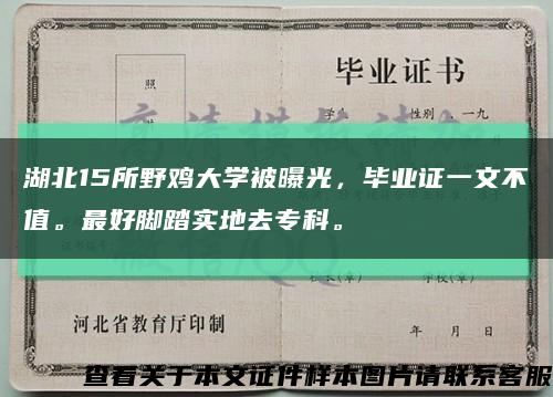 湖北15所野鸡大学被曝光，毕业证一文不值。最好脚踏实地去专科。缩略图