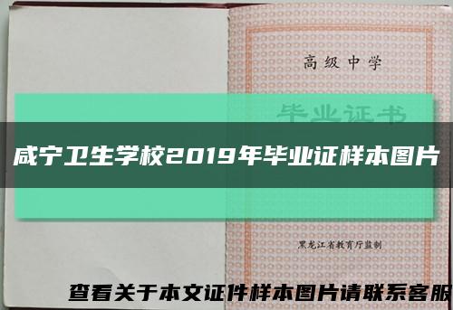 咸宁卫生学校2019年毕业证样本图片缩略图