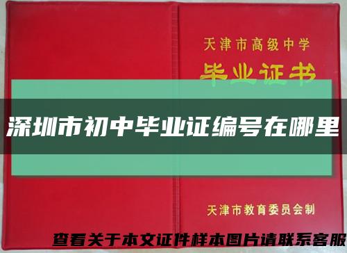 深圳市初中毕业证编号在哪里缩略图