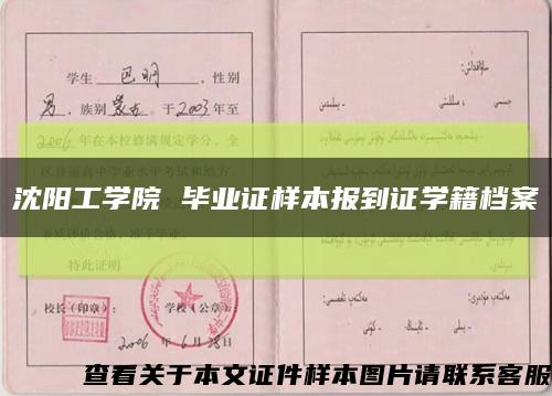 沈阳工学院 毕业证样本报到证学籍档案缩略图