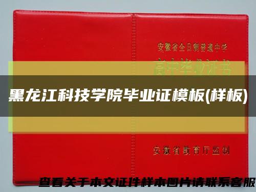 黑龙江科技学院毕业证模板(样板)缩略图