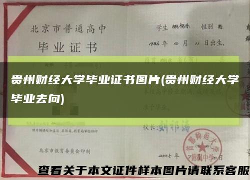 贵州财经大学毕业证书图片(贵州财经大学毕业去向)缩略图