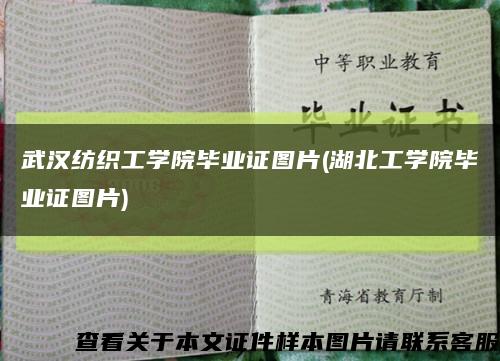 武汉纺织工学院毕业证图片(湖北工学院毕业证图片)缩略图