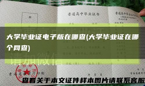 大学毕业证电子版在哪查(大学毕业证在哪个网查)缩略图