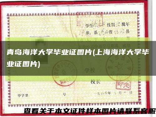 青岛海洋大学毕业证图片(上海海洋大学毕业证图片)缩略图