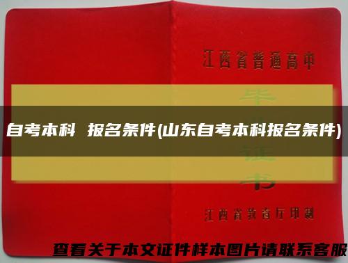 自考本科 报名条件(山东自考本科报名条件)缩略图