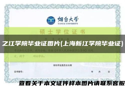 之江学院毕业证图片(上海新江学院毕业证)缩略图