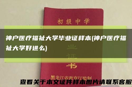 神户医疗福祉大学毕业证样本(神户医疗福祉大学好进么)缩略图
