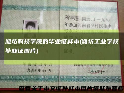 潍坊科技学院的毕业证样本(潍坊工业学校毕业证图片)缩略图