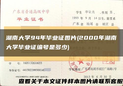 湖南大学94年毕业证图片(2000年湖南大学毕业证编号是多少)缩略图