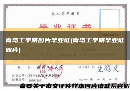 青岛工学院图片毕业证(青岛工学院毕业证照片)缩略图