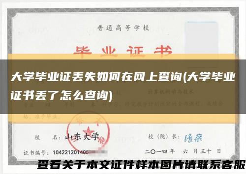 大学毕业证丢失如何在网上查询(大学毕业证书丢了怎么查询)缩略图