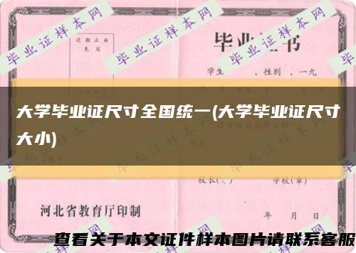 大学毕业证尺寸全国统一(大学毕业证尺寸大小)缩略图