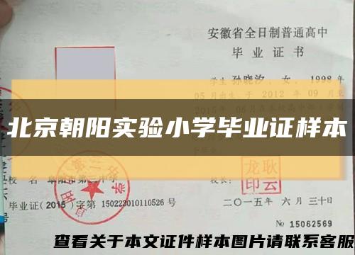 北京朝阳实验小学毕业证样本缩略图