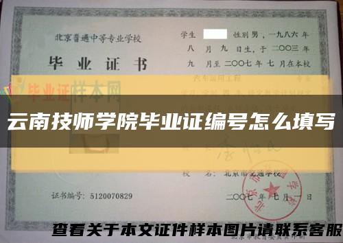 云南技师学院毕业证编号怎么填写缩略图
