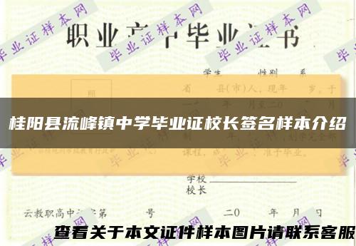 桂阳县流峰镇中学毕业证校长签名样本介绍缩略图