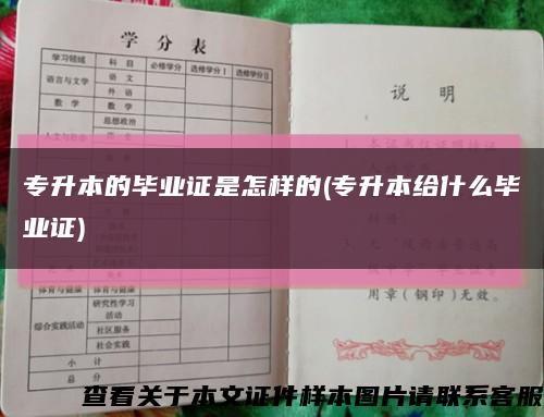 专升本的毕业证是怎样的(专升本给什么毕业证)缩略图