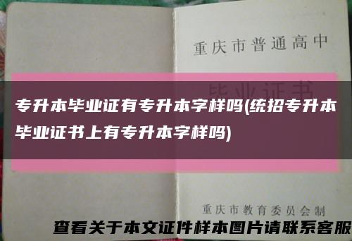 专升本毕业证有专升本字样吗(统招专升本毕业证书上有专升本字样吗)缩略图