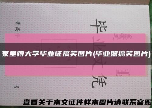 家里蹲大学毕业证搞笑图片(毕业照搞笑图片)缩略图