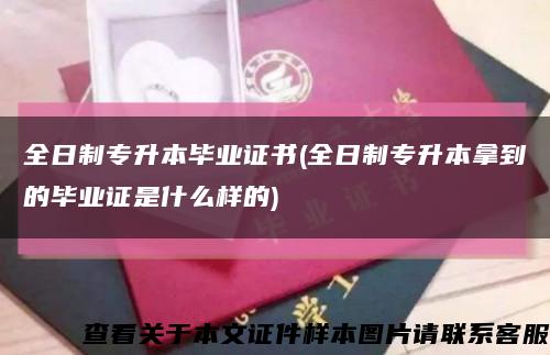 全日制专升本毕业证书(全日制专升本拿到的毕业证是什么样的)缩略图