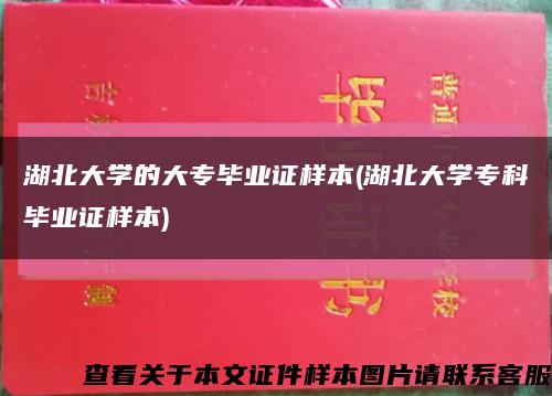 湖北大学的大专毕业证样本(湖北大学专科毕业证样本)缩略图