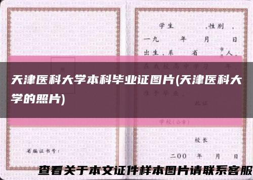 天津医科大学本科毕业证图片(天津医科大学的照片)缩略图
