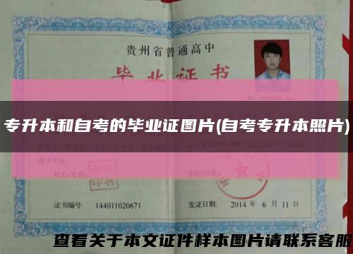 专升本和自考的毕业证图片(自考专升本照片)缩略图