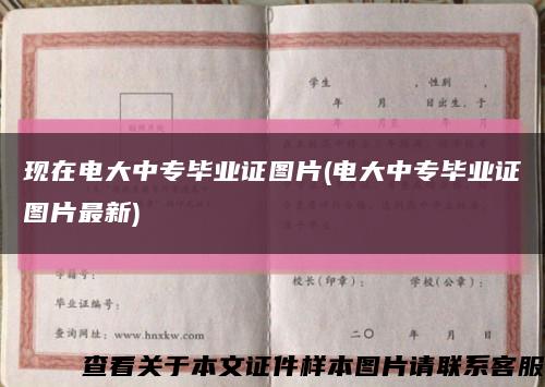 现在电大中专毕业证图片(电大中专毕业证图片最新)缩略图