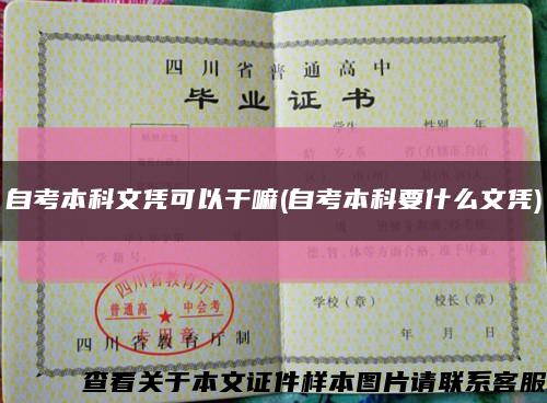 自考本科文凭可以干嘛(自考本科要什么文凭)缩略图