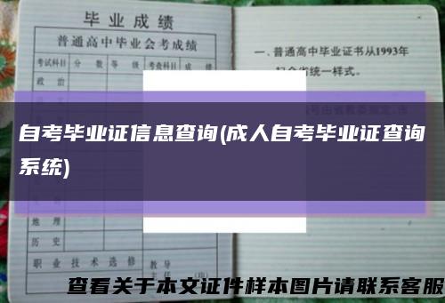 自考毕业证信息查询(成人自考毕业证查询系统)缩略图