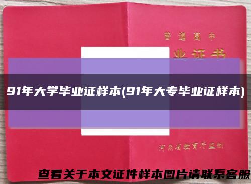 91年大学毕业证样本(91年大专毕业证样本)缩略图